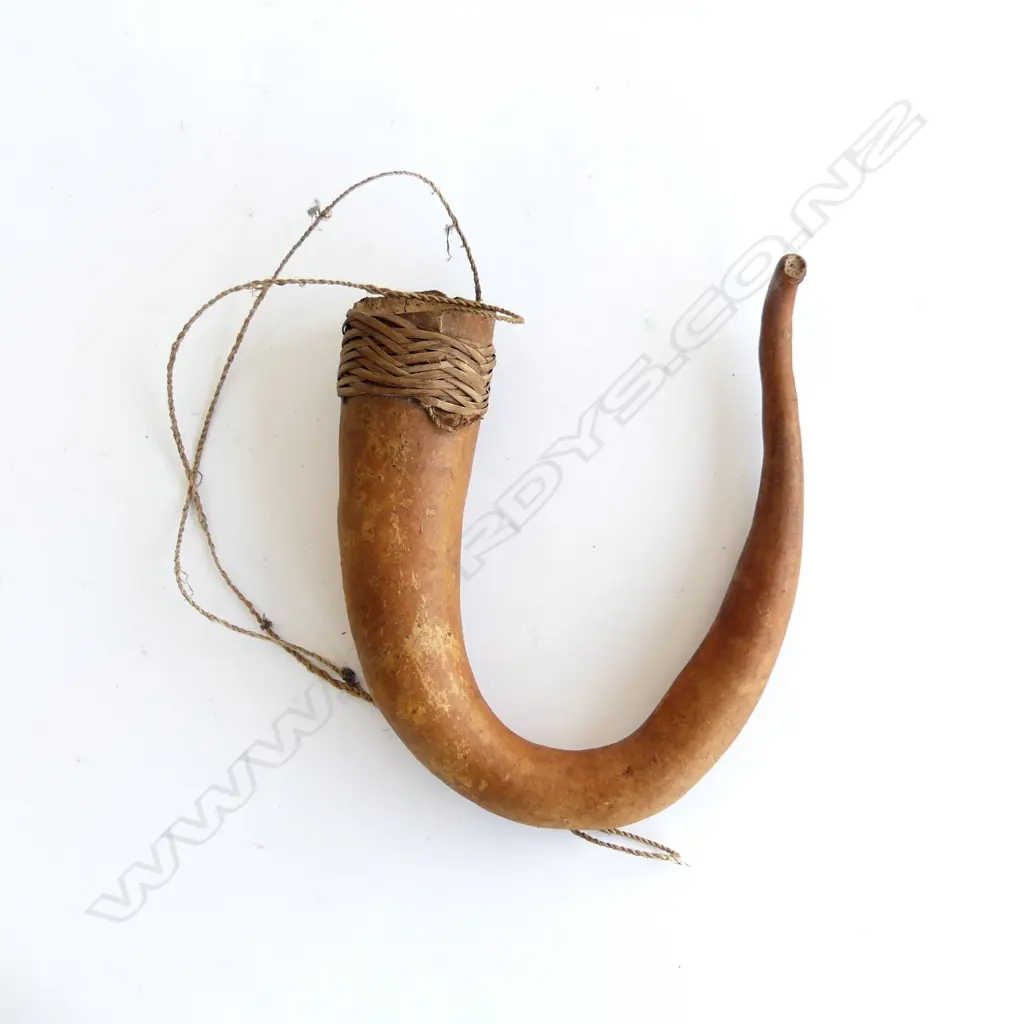 A PNG penis gourd, Image 1++